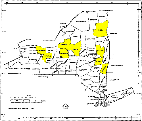 NY map showing the counties with Dreimillers living in them